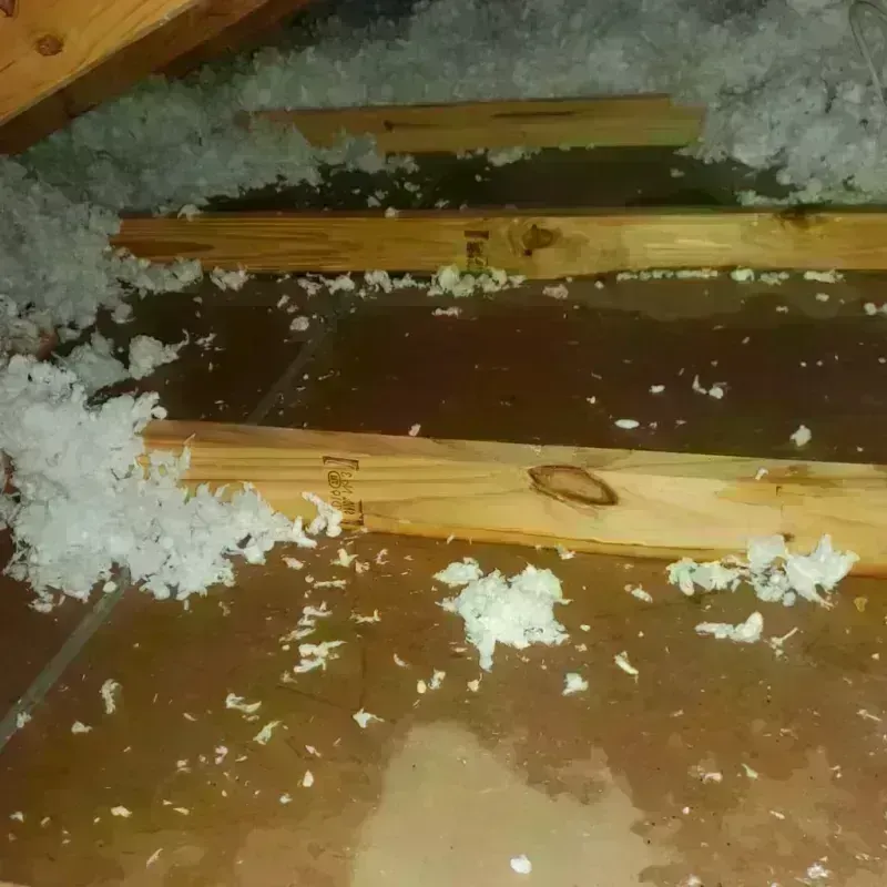 Attic Water Damage in Pima, AZ