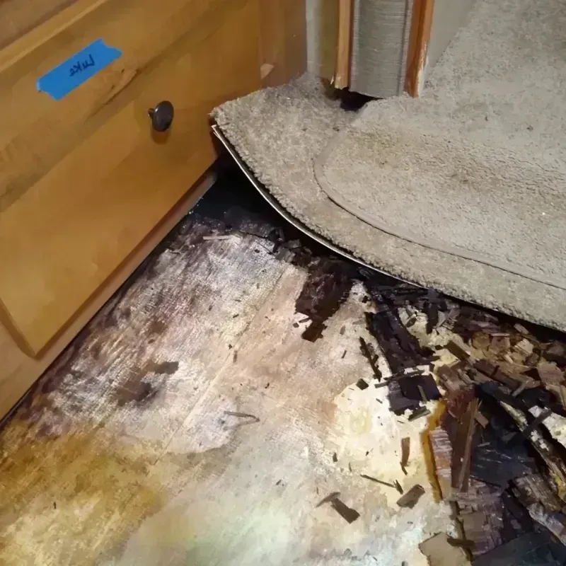 Wood Floor Water Damage in Pima, AZ